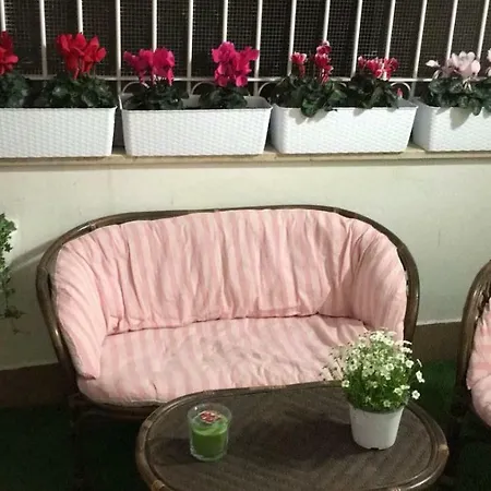 Flores 巴里